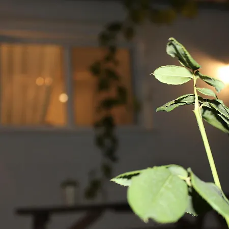 Case de vacanță Sun Ray Apartments Thassos *