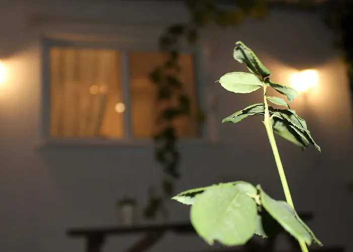 Tatil Evi Sun Ray Apartments Thassos *