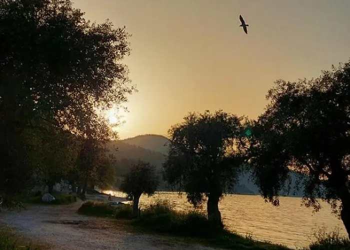 Tatil Evi Sun Ray Apartments Thassos *